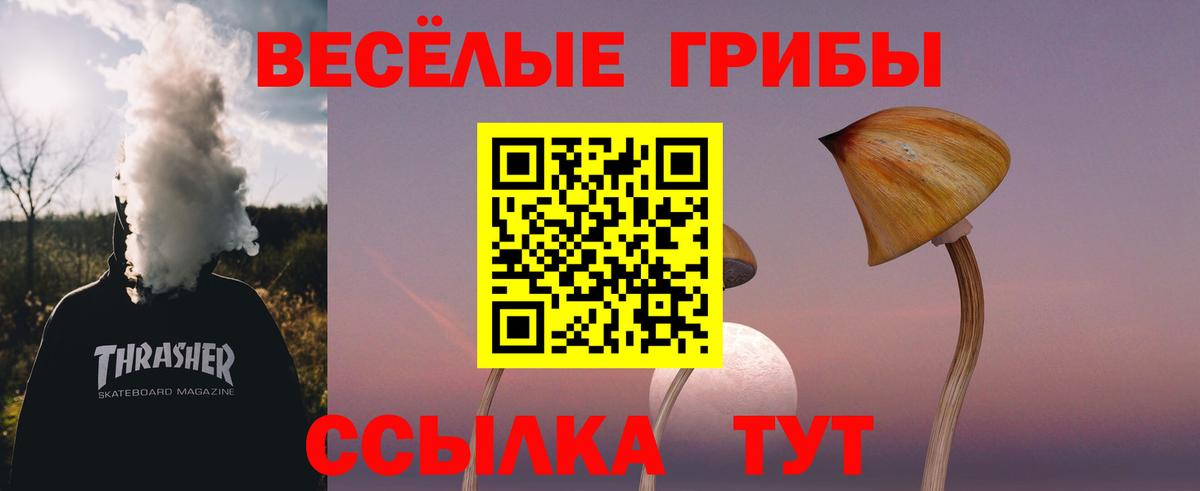 Галлюциногенные грибы Psilocybe Коряжма